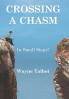 Crossing a Chasm