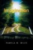 Imagination