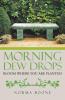 Morning Dew Drops