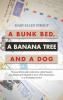 A Bunk Bed a Banana Tree and a Dog