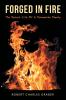 Forged in Fire