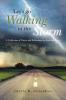 Let's Go Walking in the Storm: A Collection of Poetry and Reflections for Soul and Spirit