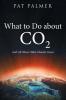 What to Do About Co2