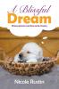 A Blissful Dream