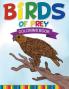 Birds Of Prey Coloring Book