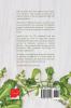 Medicinal Properties of Herbs and Plants