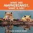 What Are Amphibians? What & Why