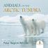 Animals of the Arctic Tundra: Polar Region Wildlife