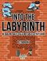 Into the Labyrinth: An Amazing Maze Challenge Adult Activity Book