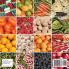 From the Ground to the Grocery! Popular Healthy Foods Fun Farming for Kids - Children's Agriculture Books