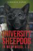 University Sheepdog in Westwood L.A.