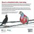 Noah's Birds