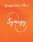 The Seven Minute Synergy Workbook