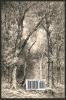Walden; Or Life in the Woods