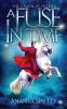A Fuse In Time : The Vision of Future