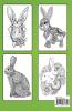 Lovely Rabbits Coloring Book for Adults : Bunny Coloring Pages for Stress Relief and RelaxationFun Bunny Coloring