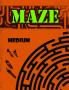 Maze Medium : Medium Level Maze Activity Book Preschool to Kindergarten Kids Maze Book Maze Book for Kids
