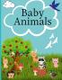 Baby Animals : Coloring Book for Kids with 43 Incredibly Cute and adorable Animals to color for teens and girls.