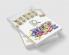Words Search : Candy Puzzles |31 Puzzles with Word Search |43 Pages