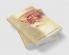 Mann Neeva Matt Ucchi : Life and Journey of Guru Nanak