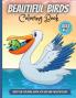 Beautiful Birds Coloring Book : Adorable Birds Coloring Book For Kids Cute Bird Illustrations For Boys And Girls To Color