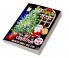 Christmas Activity Book for Kids Ages 4-8 : A Creative Holiday Coloring and Puzzle Activities Book for Boys and Girls | Educational and Fun Pages with X-mass Tree Santa Claus Reindeers Snowmen ...