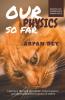 Our Physics So Far: A Journey Through Spacetime Consciousness And The Fundamental Nature Of Reality