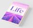 Beautiful Encounter in Life