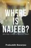 Where Is Najeeb?: And Other Stories Of Unsolved Crimes