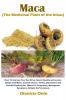 Maca (The Medicinal Plant of the Inkas)