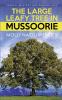 The Large Leafy Tree in Mussoorie : Search Mystery and Finding Love