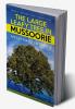 The Large Leafy Tree in Mussoorie : Search Mystery and Finding Love