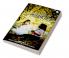 Leaves Of Autumn : An Anthology by Shalvi Shankar & Shahid Ansari