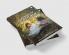 Leaves Of Autumn : An Anthology by Shalvi Shankar & Shahid Ansari