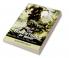 The Adventures of Anhui: The Rise of The Fallen Beasts : The Rise of The Fallen Beasts