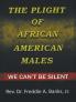 The Plight of African-American Males