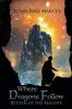 Where Dragons Follow: Return of the Malevir (Dragonwolder Book 2)