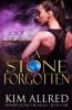 A Stone Forgotten: 4 (Mórdha Stone Chronicles)