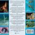 Coral Reef Curiosities
