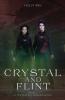 Crystal and Flint: The Journey Missions Series: 1