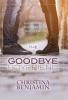 The Goodbye Boyfriend: 3