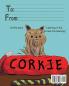 Beware! Corkie the Yorkie is a Sock Thief!