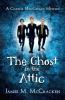 The Ghost in the Attic
