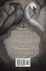 The Raven's Ballad