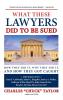 What These Lawyers Did to Be Sued: How They Did It Why They Did It and How They Got Caught