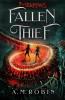 Fallen Thief