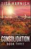 Consolidation: Book Three: 3