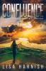 Confluence: A Novel of Post Pandemic Survival: 4 (Consolidation)