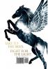 A Light in the Sky