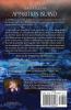 Apparition Island: 4 (Windjammer Mystery)